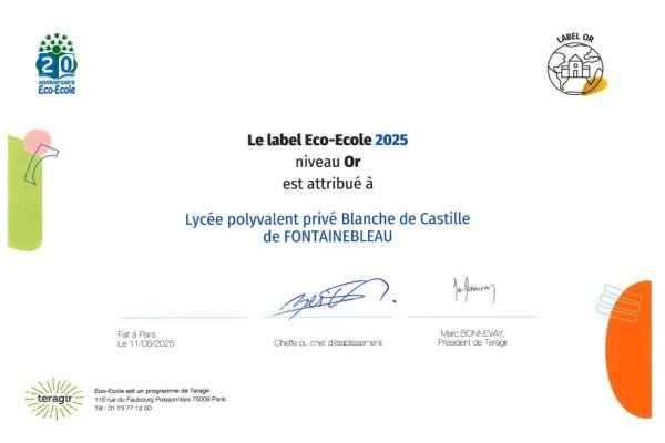 Label « Eco-Ecole » : Blanche de Castille décroche « l’Or »