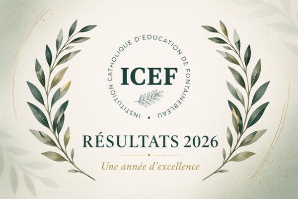 Des résultats d'excellence pour nos établissements : une année 2026 exceptionnelle