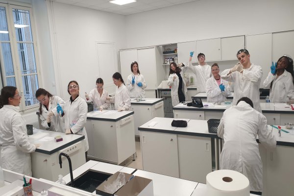 BDC CPS et cours tisane 2